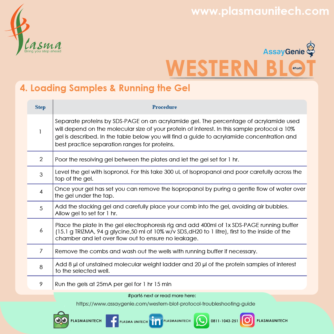 What is Western Blot? #Part5